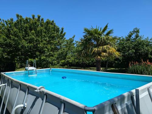 une piscine sur la terrasse d'une maison avec un palmier dans l'établissement Maison de campagne, à Fondettes