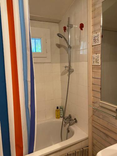 une salle de bain avec douche et baignoire dans l'établissement Joli Mas au bord de l'Etang de Thau, à Marseillan