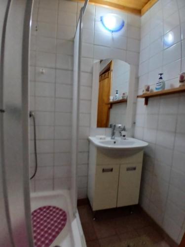 a bathroom with a sink and a shower with a mirror at Chalet A Frame Sinaia in Sinaia