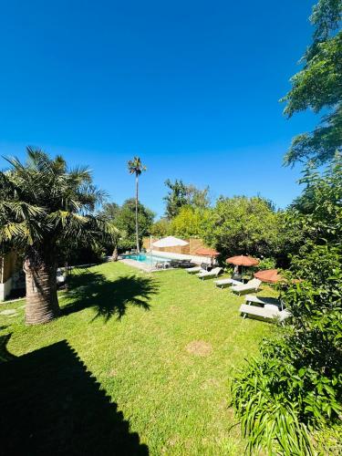 un groupe de chaises longues et une piscine dans l'établissement Les Lodges de l'Etang, à Roquebrune-sur Argens