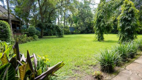 a yard with green grass and trees and a house at Vijiji Center Lodge and Safari in Arusha