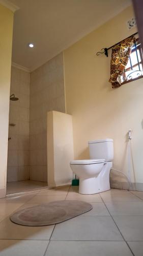 a bathroom with a toilet and a shower at Vijiji Center Lodge and Safari in Arusha