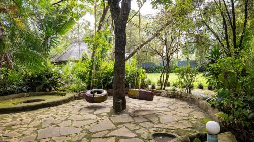 a garden with a tree and a stone patio at Vijiji Center Lodge and Safari in Arusha