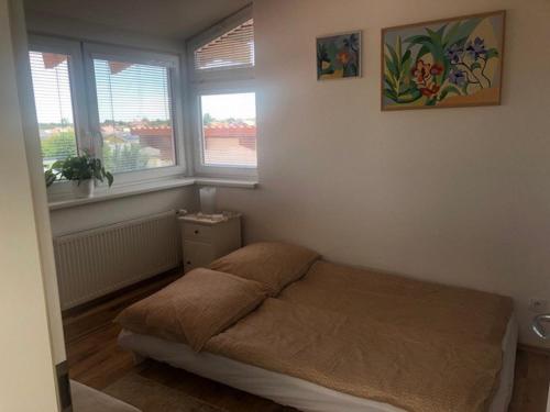 Living in the Gallery