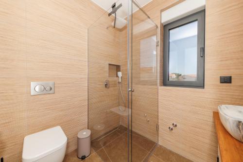 a bathroom with a shower with a toilet and a sink at Villa Riva Vir Apartment in Vir
