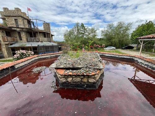 a pond of water in front of a building at Etno Rekreacia Tabatadze, With in Door & Out door pool 