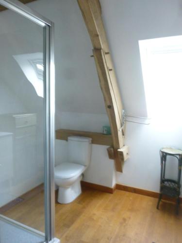 ein Badezimmer mit Toilette und Glasdusche in der Unterkunft la Metairie in Montvalent