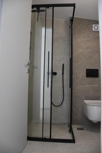 a shower with a glass door in a bathroom at ILIOS blue residence A13 in Nikiti
