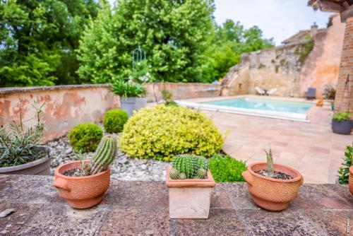 a group of potted plants sitting on a wall near a pool at Le Refuge de la Brêche in Cahuzac-sur-Vère