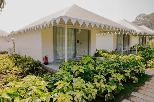 Zahrada ubytování The Fern Seaside Luxurious Tent Resort Daman