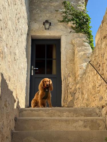 Gallery image of La Bugadière in Salles-sous-Bois