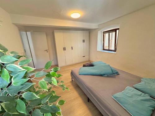 a bedroom with a bed and a plant at Lovely Apartment in the Old Town in Hall in Tirol