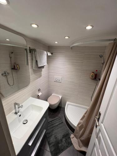 une salle de bain avec un lavabo et des toilettes dans l'établissement Studio Juan les Pins 06 - centre ville - plage à 150m, à Antibes