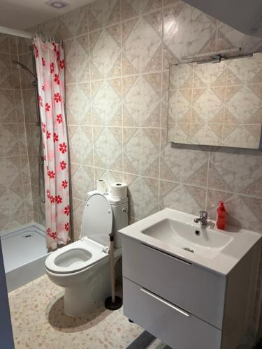 ein Badezimmer mit Toilette und Waschbecken in der Unterkunft Engy2 in Lens