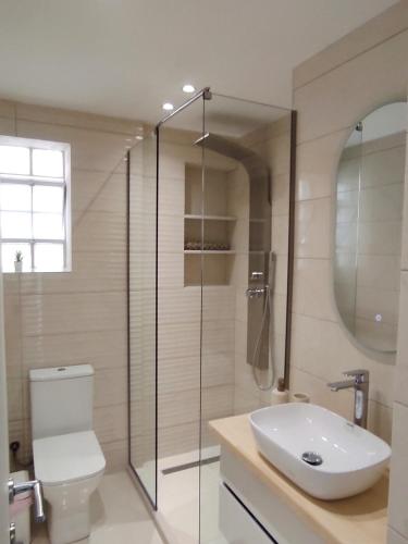 a bathroom with a toilet and a sink and a shower at Rita's Home in Acharavi