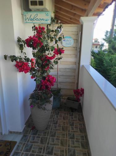 a plant in a pot on a porch with flowers at Rita's Home in Acharavi