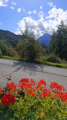 a bunch of red flowers on the side of a road at Casa Richardette Relax in the Woods in Sauze d'Oulx