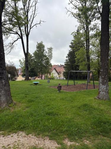 a park with a playground with a swing at Appartement 2 chambres Proche CV in Pontarlier