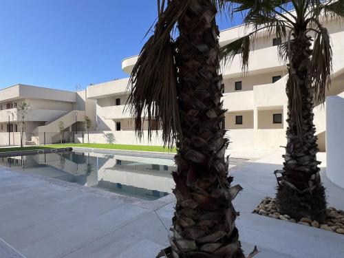 Photo de la galerie de l'établissement Appartement T2 Terrasse et Piscine 300m de la Plage, à Valras-Plage