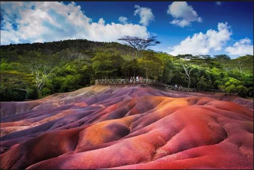 a group of people standing on top of a red hill at MAISON AGREABLE pour 3 personnes in Surinam
