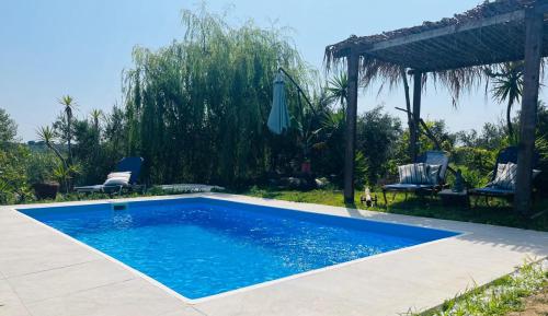 a swimming pool in a yard with two chairs and an umbrella at Olive and Blue Retreat in Halikounas