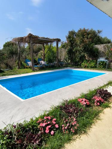 Olive and Blue Retreat