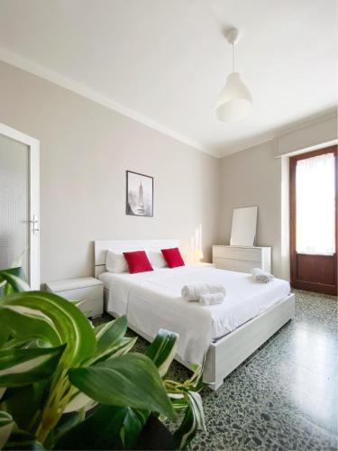 a white bedroom with two beds and a plant at Comodo e Pratico nel Cuore pulsante di Pisa in Pisa
