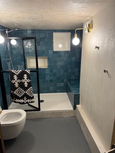 a bathroom with a shower and a toilet and a sink at Au bon vivre l'appartement in Saint-Guiraud