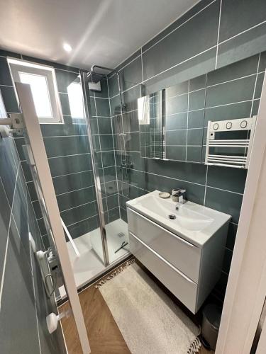une salle de bain avec un lavabo, des toilettes et une douche dans l'établissement Appartement lumineux, spacieux et idéalement situé, à Saint-Raphaël