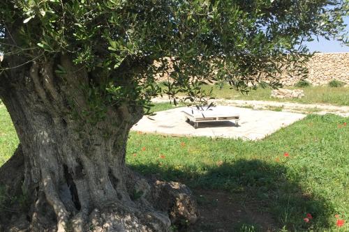 Gallery image of Masseria Gelsi in Torre Chianca