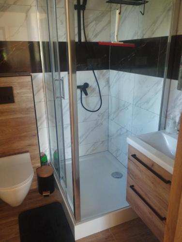 a bathroom with a shower and a toilet and a sink at Domek pod Dębami Górecko Kościelne in Górecko Kościelne