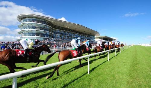 a group of horses racing on a race track at The Twelve Hotel in Barna