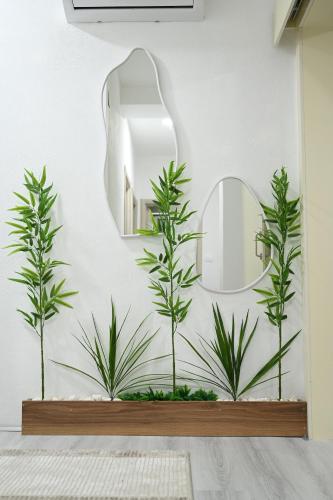 a mirror and three plants on a wall at Apartmani P7 in Dračevo