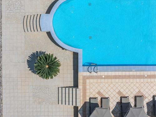 a swimming pool with a plant next to it at Lofos Panorama Apartments in Prínos