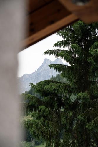 a view of a mountain through a window at Gasthof Schöntal in Werfenweng