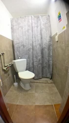 a bathroom with a toilet and a shower curtain at Chalupa Pod Drábskými světničkami in Mnichovo Hradiště