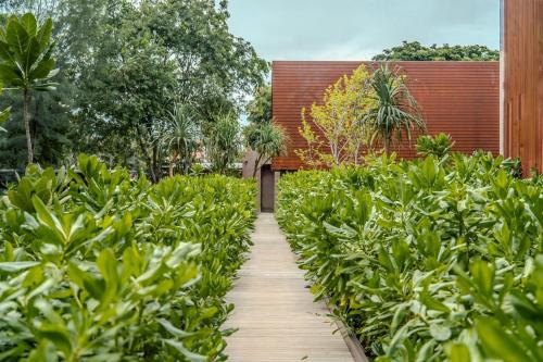 a wooden walkway through a garden with green plants at inchantreedoolay huahin in Pran Buri