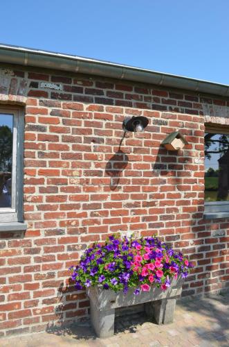 a brick building with a planter with flowers in it at De Hipshoek in Poperinge