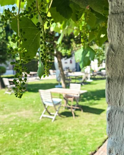 a table and chairs in a park with a bunch of grapes at Boutique B&B Droomkerke in Ruiselede
