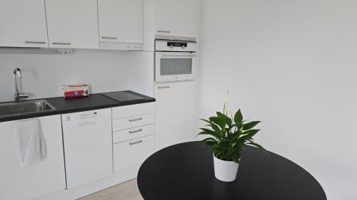 a kitchen with a black table and a potted plant at Modern Luxury Apartment Helsinki in Helsinki