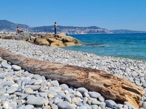Φυσικό τοπίο κοντά σε αυτό το διαμέρισμα