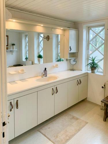 a bathroom with a sink and a large mirror at Historic Gamekeepers House At Tranekær Castle in Tranekær