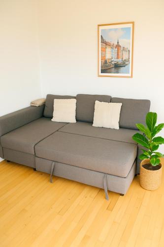 a couch in a living room with a plant at Scandic Stay CPH in Copenhagen