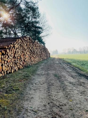 a wall of logs on the side of a dirt road at Charming Forest House Near Lüneburg Heath in Handeloh