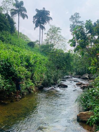 a person standing next to a river in a forest at Dew Drops Nature Villa in Parakaduwa