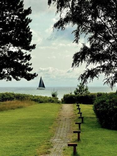 a row of benches on a field with a sail boat in the water at Modern Exclusivity In 60S House Near Dyngby Beach in Odder