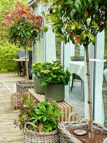 three potted trees in baskets on a patio at Charming Log Cabin Close To The Water And Hou in Hou