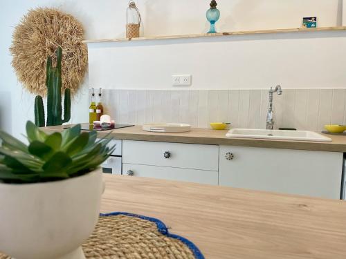 une cuisine avec un comptoir avec un évier et un cactus dans l'établissement 