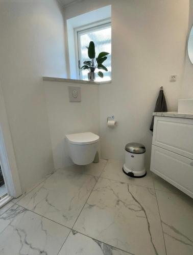 a bathroom with a toilet and a window and a plant at Idyllic House With Cliff Formations And Ocean View in Sandvig