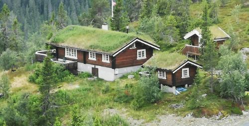 a house with a grass roof on a hill at Cozy, Magical Mountain Cabin With Trails in Etnedal